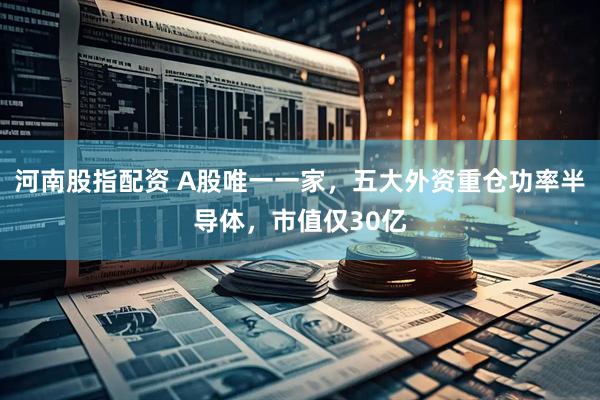 河南股指配资 A股唯一一家，五大外资重仓功率半导体，市值仅30亿
